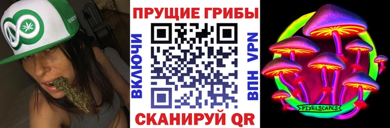 Галлюциногенные грибы Psilocybe  mega как зайти  Мамоново 